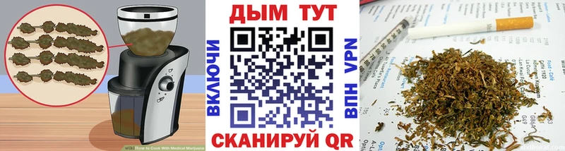 ссылка на мегу ссылки  Стародуб  Cannafood конопля 
