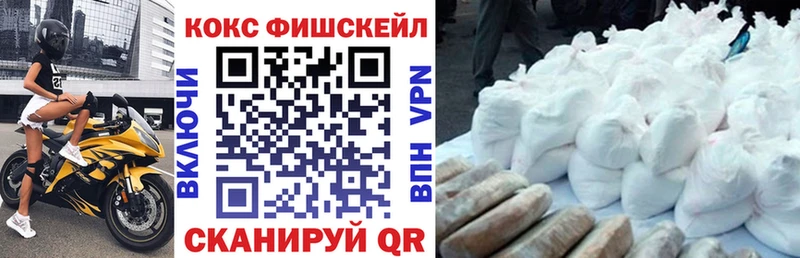 COCAIN Fish Scale Стародуб